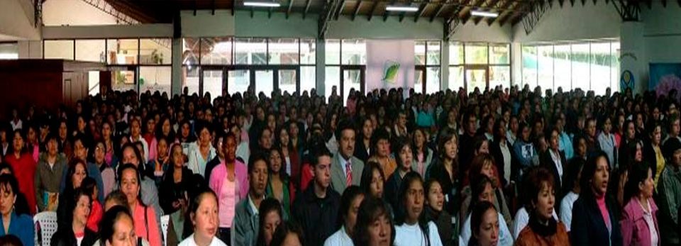 Pantene-Going Beyond the Category